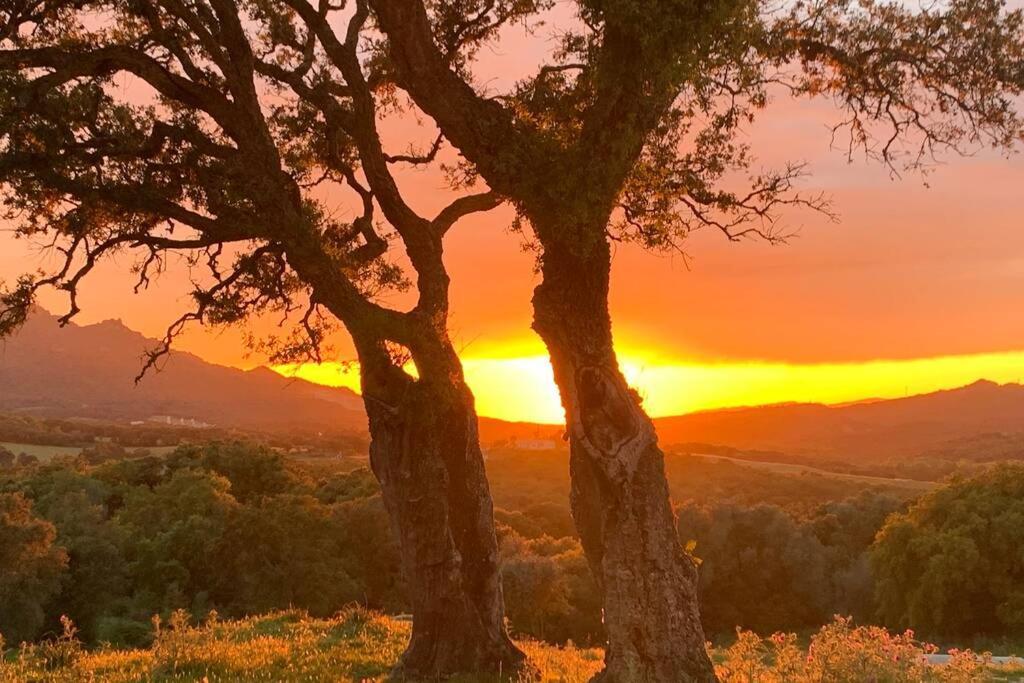 Maison Typique De Campagne Au Coeur De La Nature . 萨尔泰纳 外观 照片